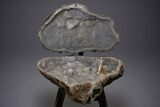 Amazing Quartz Geode Display on Stand - Spectacular #351499-1